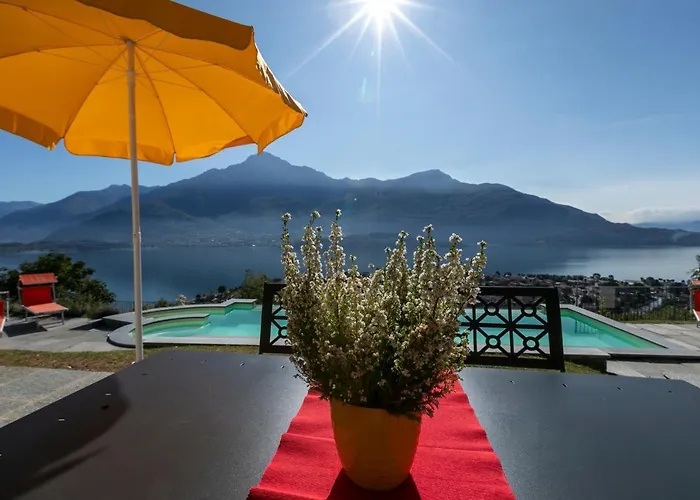 La Collinetta Vercana